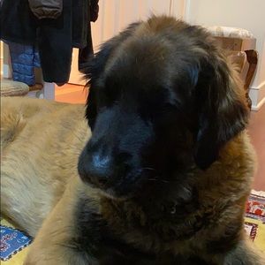 Meet your Posher, Whitney